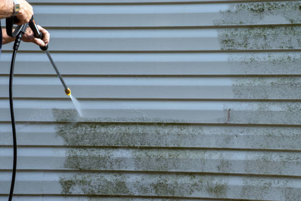 Best Property Management Cleanouts  in Church Point, LA